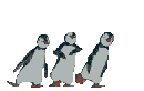 :pinguini: