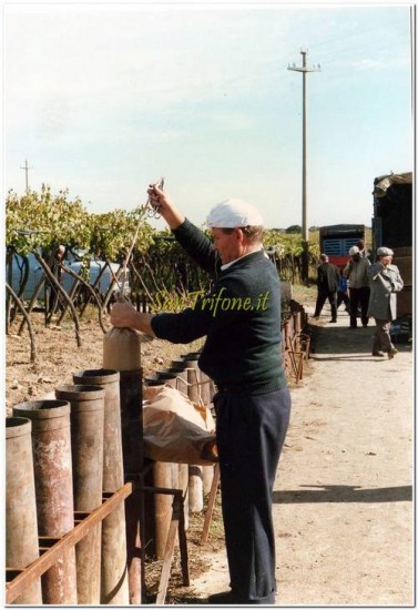 San TRIFONE - Adelfia 1987