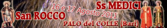 banner_palo2011.jpg