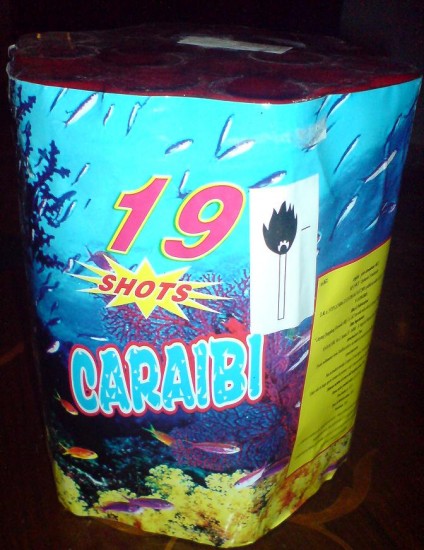 caraibi viv.JPG