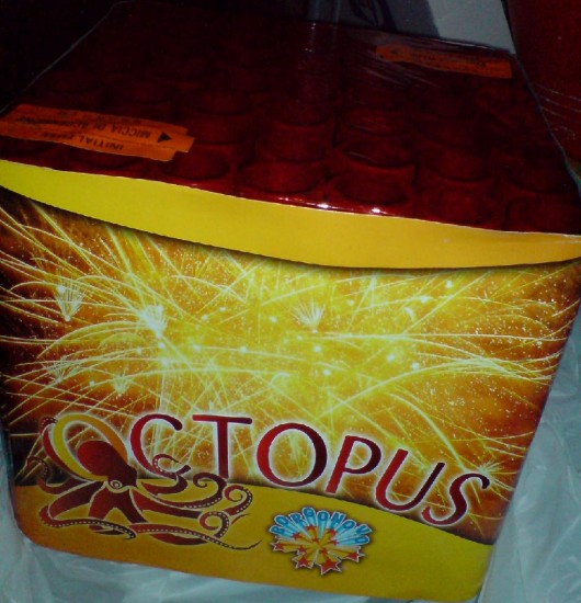 octopus_695c.JPG