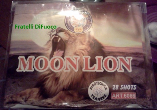 moon lion.jpg